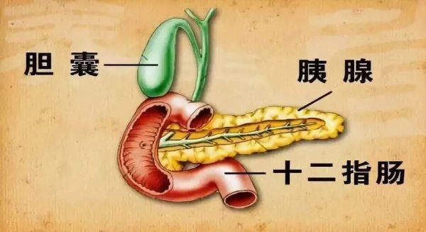 世界杯下單平臺 25歲女子“餓6天吃1天”，一個月瘦15斤！