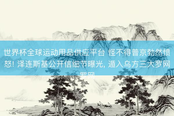 世界杯全球運動用品供應平臺 怪不得普京勃然憤怒! 澤連斯基公開信細節曝光， 遁入烏方三大羅網