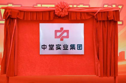 高質量發展新征程 中堂實業集團揭牌成立，百墩實業開啟新篇章